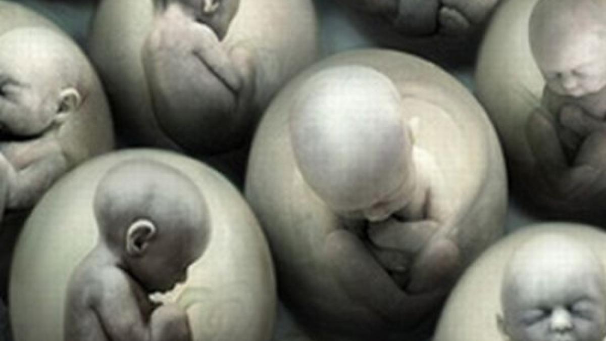 patriarhia romana impotriva finantarii cercetarii pe embrioni umani