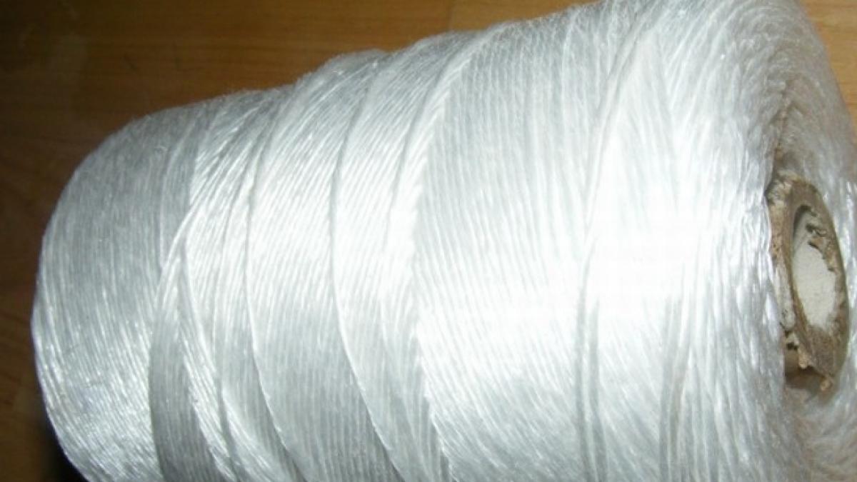 cum sa prejudiciezi statul cu 100 000 de lei din cumparare de sfoara