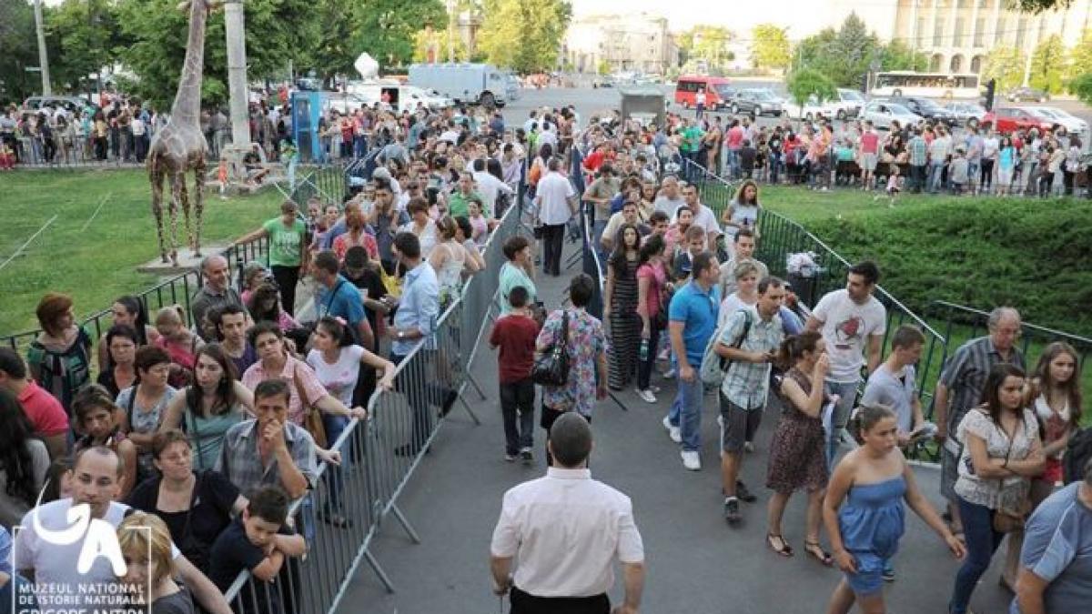 noaptea muzeelor un succes pentru institutii aproape 20 000 de persoane au vizitat muzeul antipa