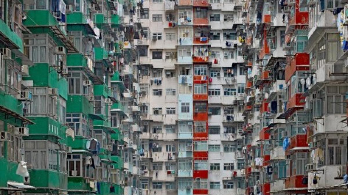 te plangi ca bucurestiul este aglomerat iata cum arata o adevarata junga de beton cand vezi un