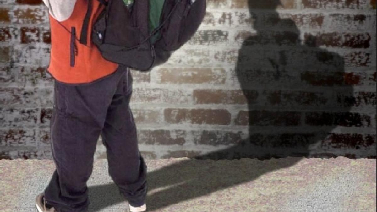 anuntul important facut de ministrul educatiei mesajul ii vizeaza pe toti elevii din romania