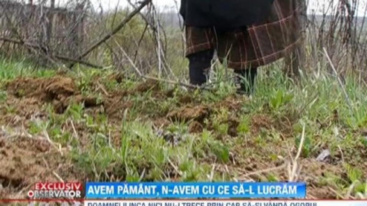 Over 500,000 hectares of agricultural land in Romania left prey to the weeds