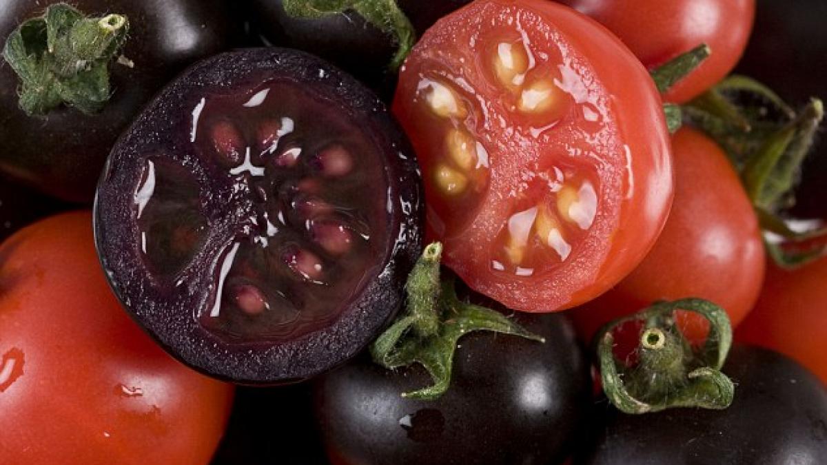 tomatele violet mai proaspete si mai atragatoare dar cu ce pret tu le ai consuma