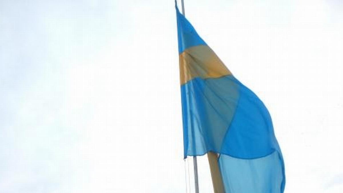 ponta nu am vrut sa stea steagul secuiesc la pupitru ca sa nu se creada ca e steagul pnl