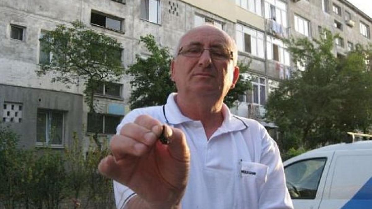 intepatura acestei insecte pune viata oamenilor in pericol barzaunele venit din asia a ajuns si in