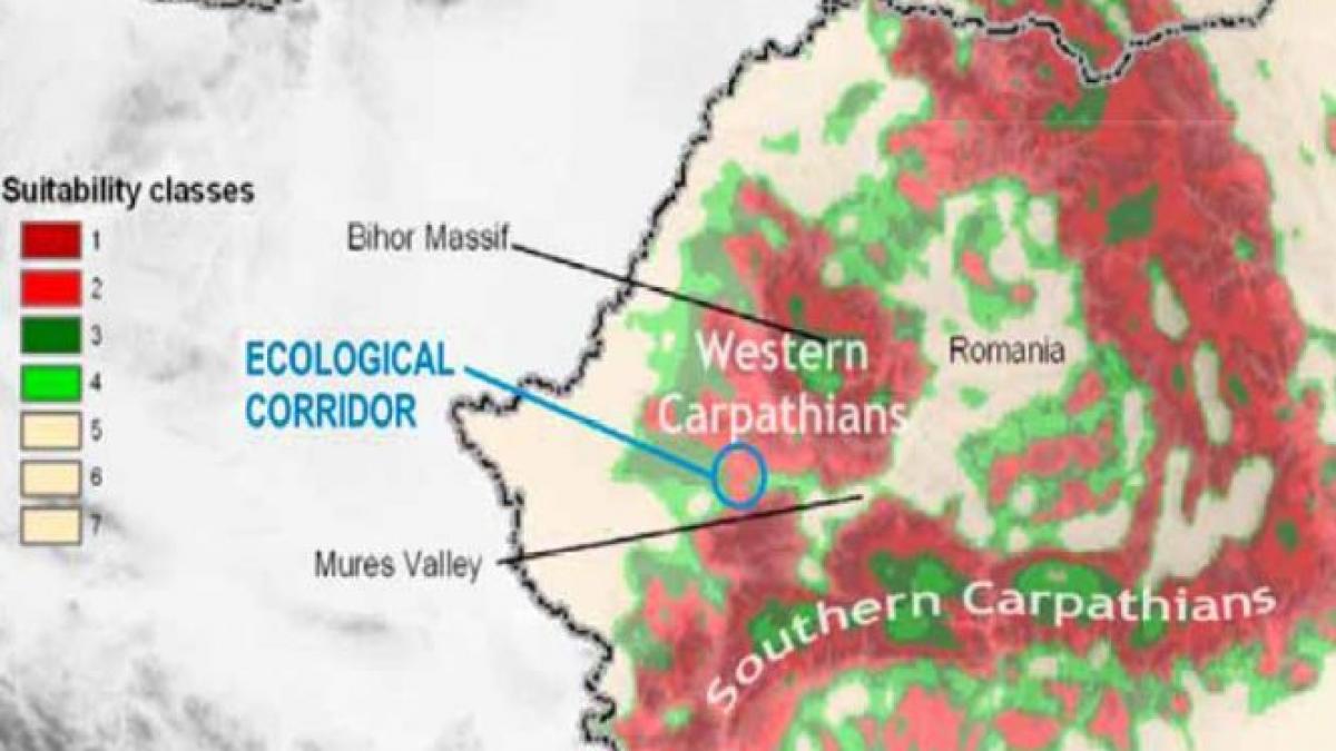 da autostrazii nu distrugerii naturii