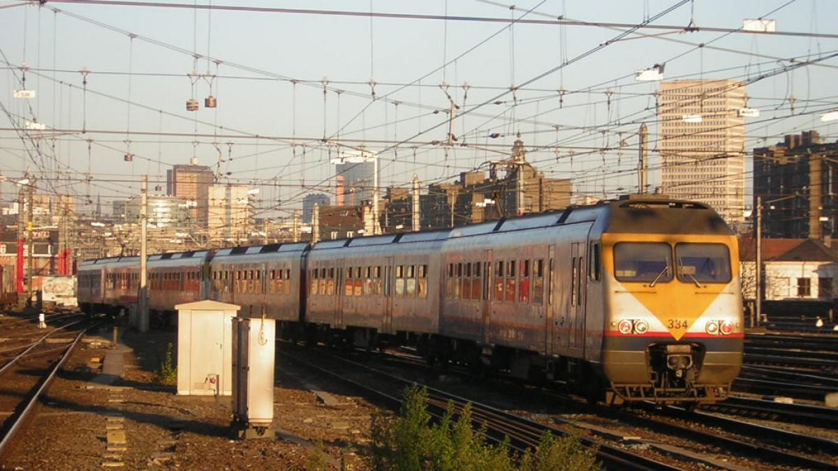 Descoperire rară lângă o cale ferată de lângă Bruxelles: "Este chiar excepţional"