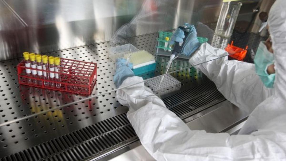 vestea care pune romania din nou pe harta se va redeschide