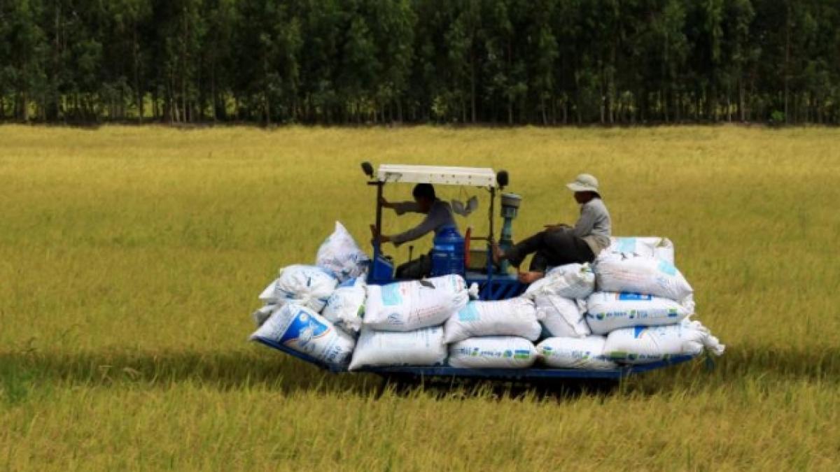 apdrp romania are la dispozitie peste 7 miliarde de euro fonduri europene pentru dezvoltare rurala