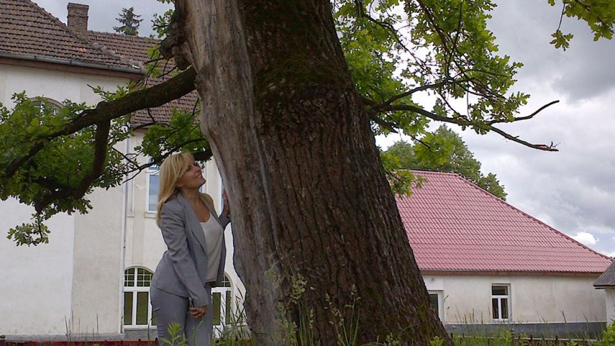 elena udrea la copacul care aduce noroc