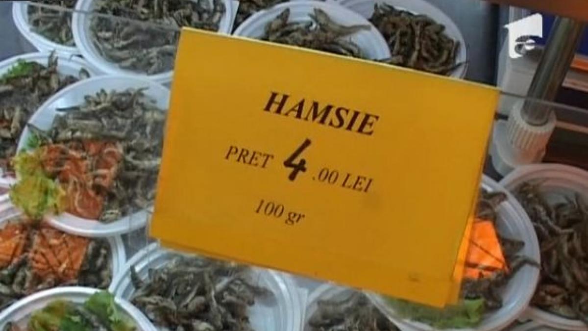 hamsiile vedete pe litoral turistul roman nu concepe vacanta la mare fara masa pescareasca
