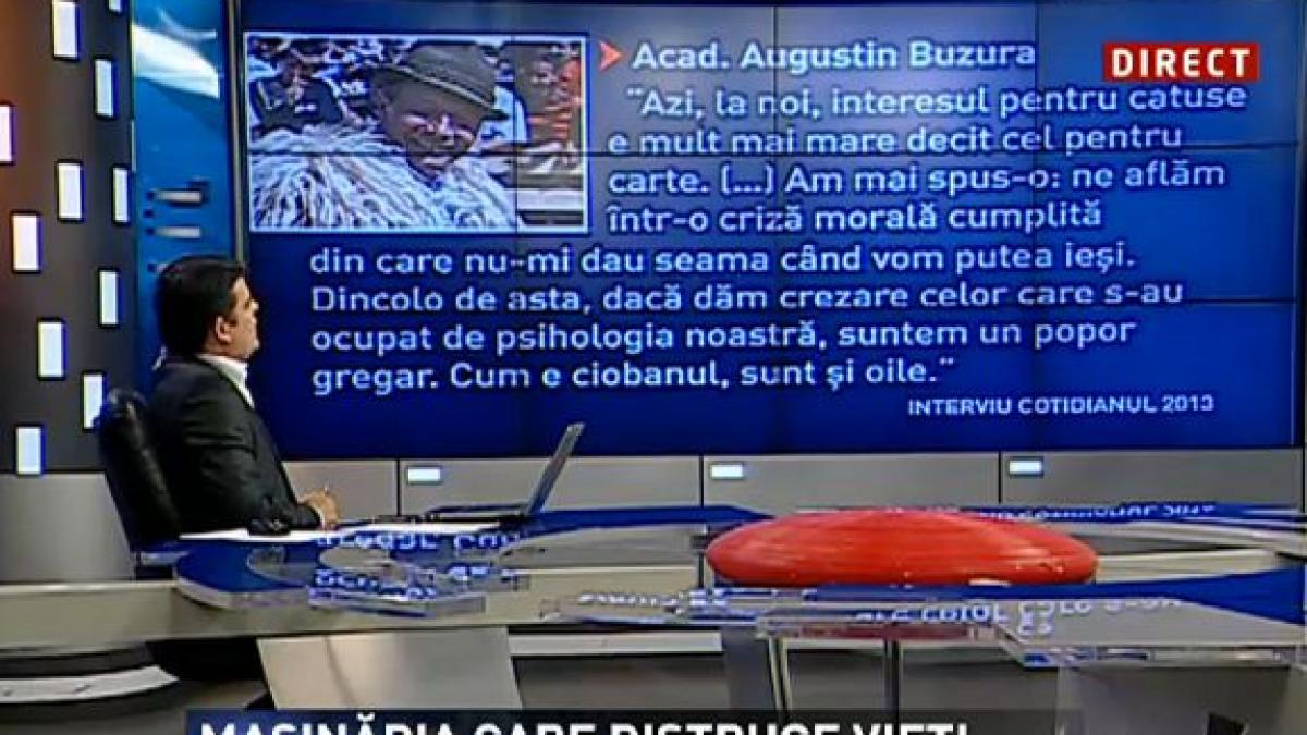 radu tudor il citeaza pe academicianul buzura interesul pentru catuse e mult mai mare decat cel