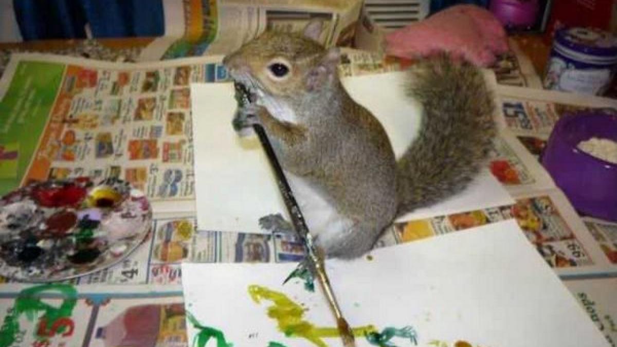 este cel mai nou artist intrat in clubul pictorilor isi vinde tablourile cu 40 de dolari iar