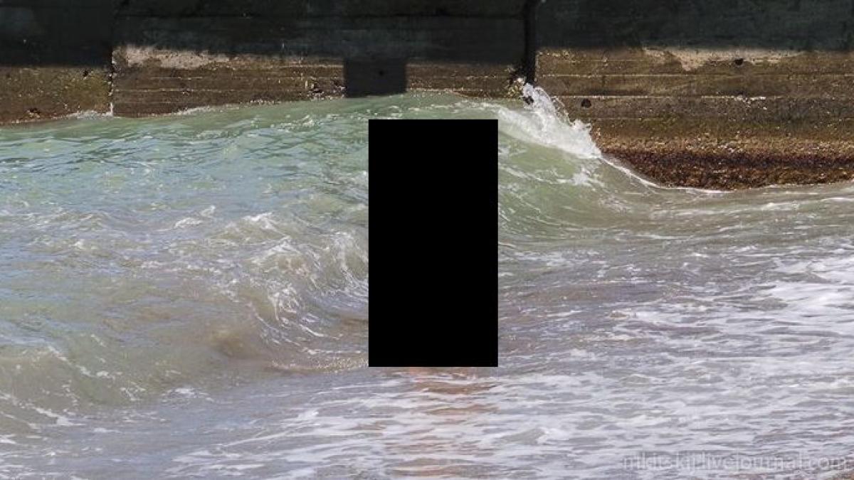 nu e pentru cei sensibili parea ca esuase chiar pe plaja langa noi femeiea care a speriat valurile