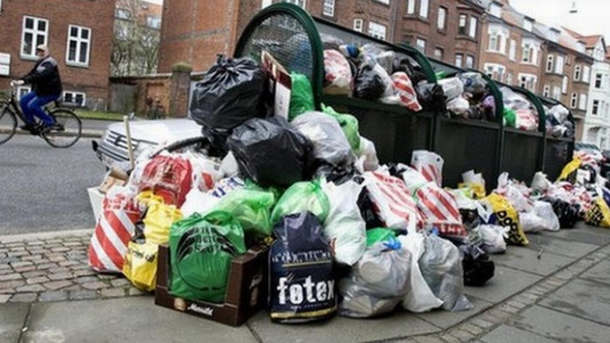 fiecare roman arunca 100 kg de mancare studiile arata ca nu stim sa ne facem cumparaturile