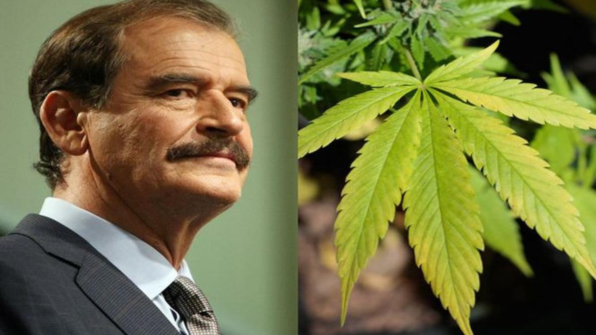 fostul presedinte mexican vrea sa cultive marijuana