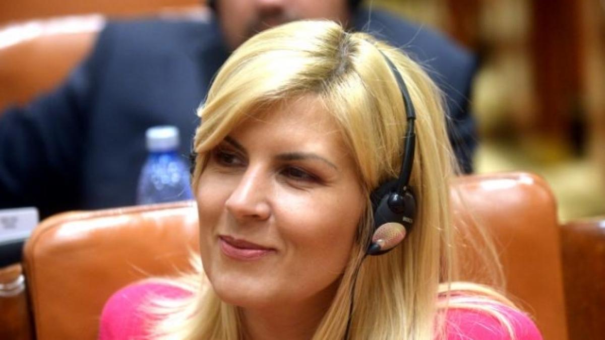 udrea fitilul etnic aprins de politicieni face mai mult rau