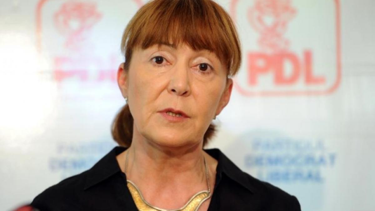 monica macovei propunerile mele pentru revizuirea constitutiei au fost ignorate de comisie