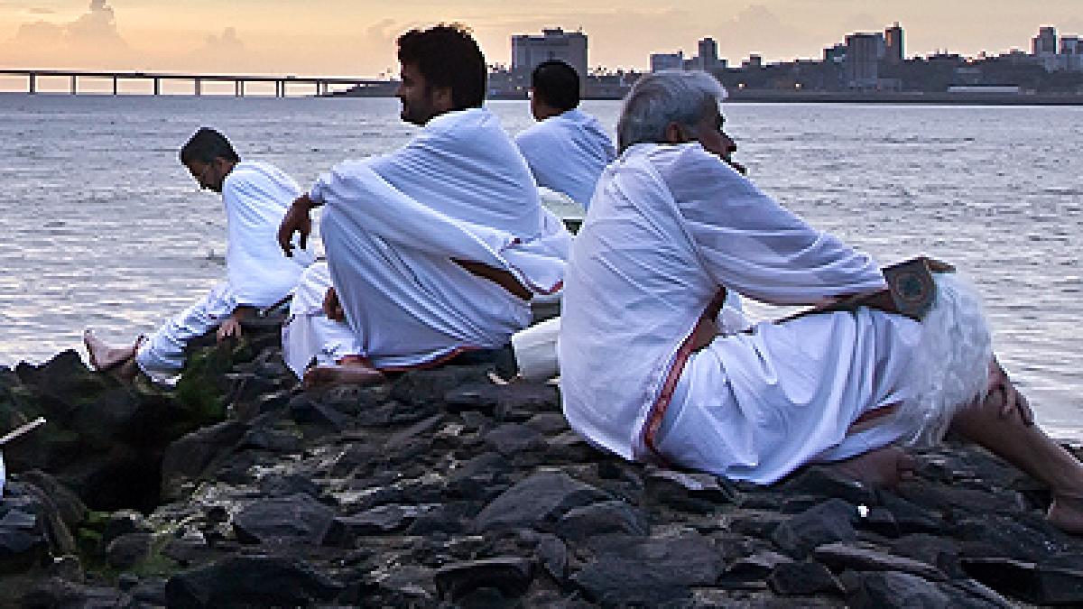 tiff vine la bucuresti la grand cinema digiplex din baneasa shopping city