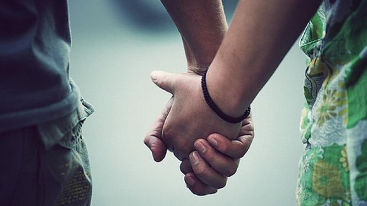 comisia de revizuire a constitutiei familia se intemeiaza pe casatoria liber consimtita intre soti