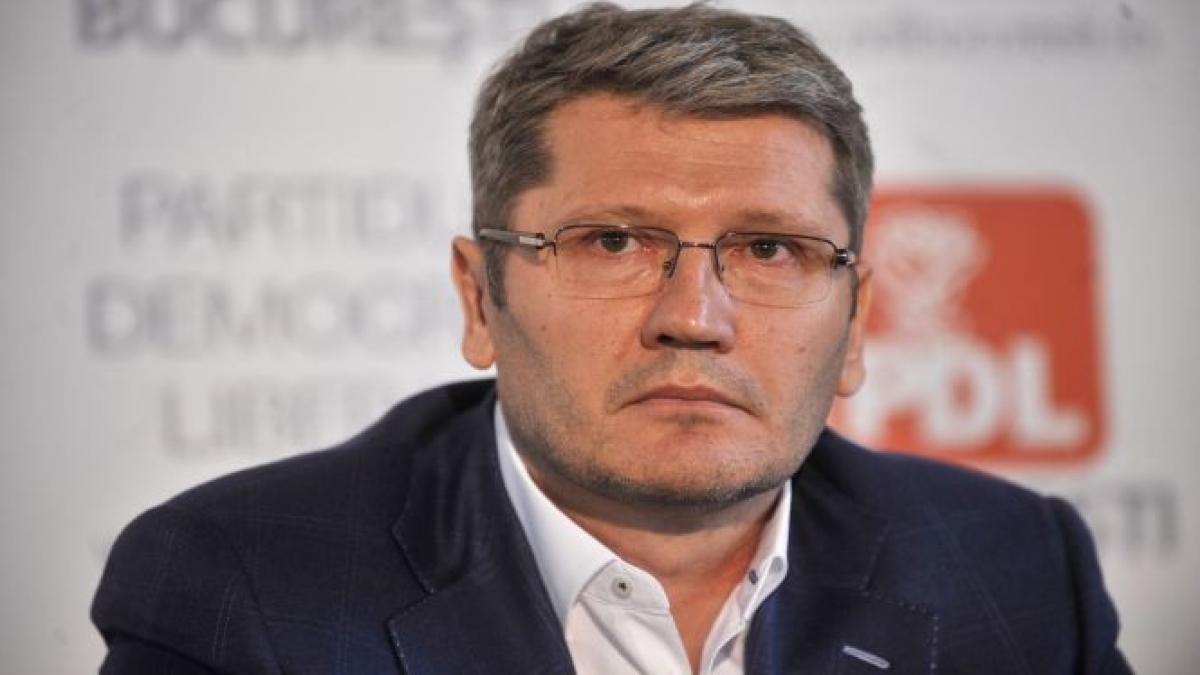 liviu negoita pdl sustine initiativa presedintelui basescu de a organiza un nou referendum