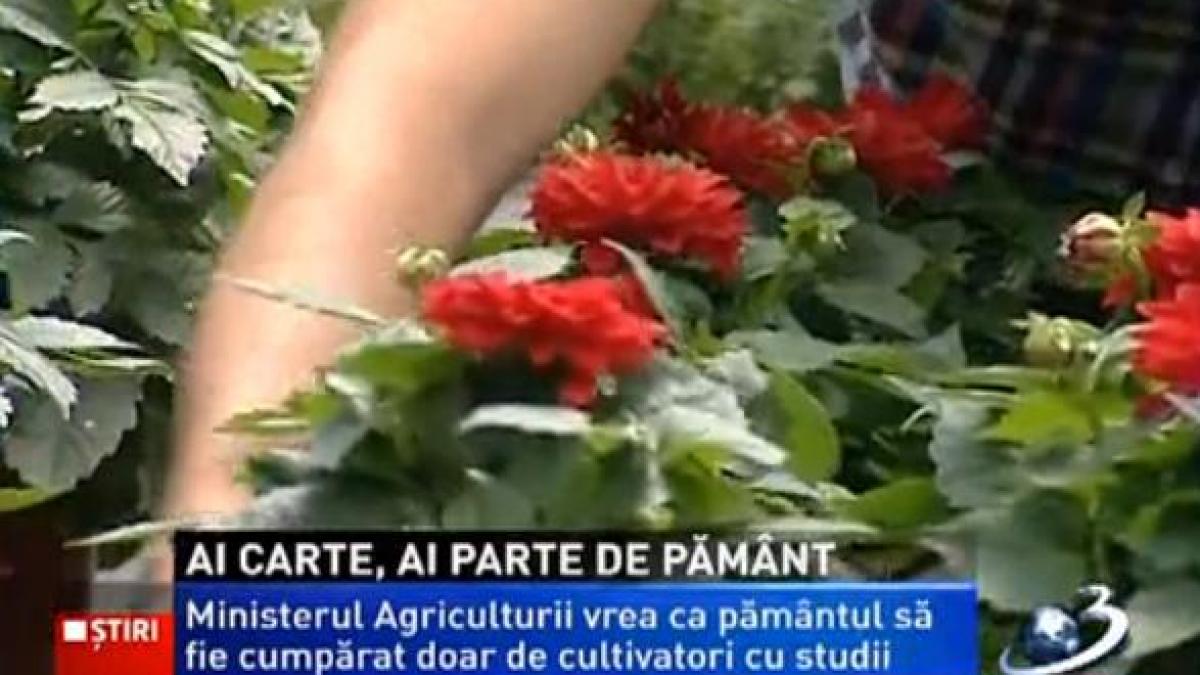ministerul agriculturii vrea ca pamantul sa fie cumparat doar de cultivatori cu studii