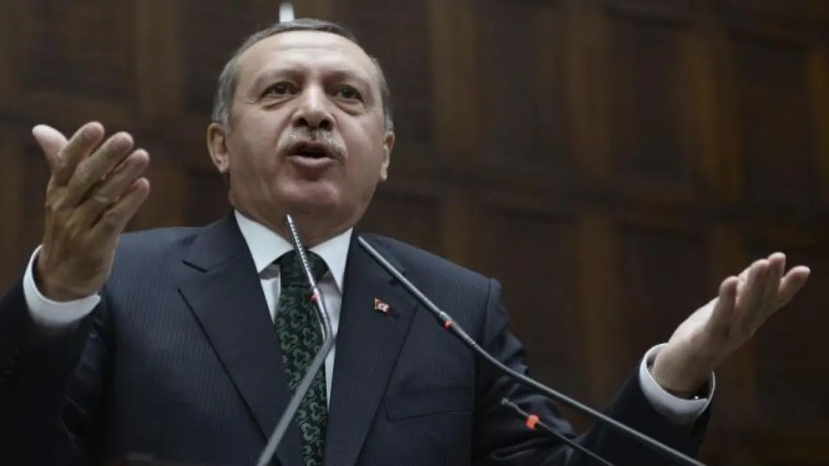 turcia erdogan propune un referendum pentru a se decide soarta parcului gezi