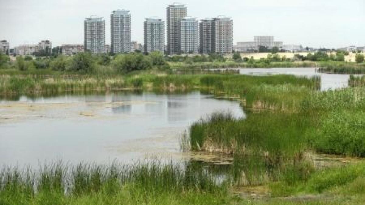 bucurestiul intra pe lista capitalelor care detin rezervatii naturale delta vacaresti va deveni