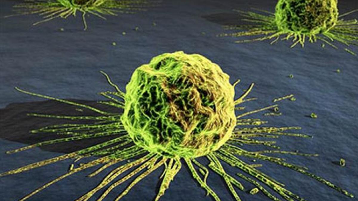 descoperirea care ar putea salva milioane de vieti de ce se inmultesc celulele canceroase