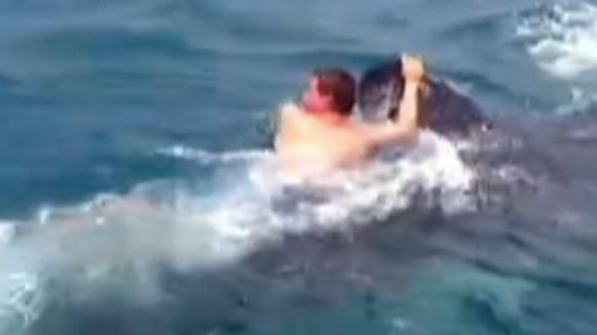 omul care a realizat imposibilul a calarit un rechin de 9 metri