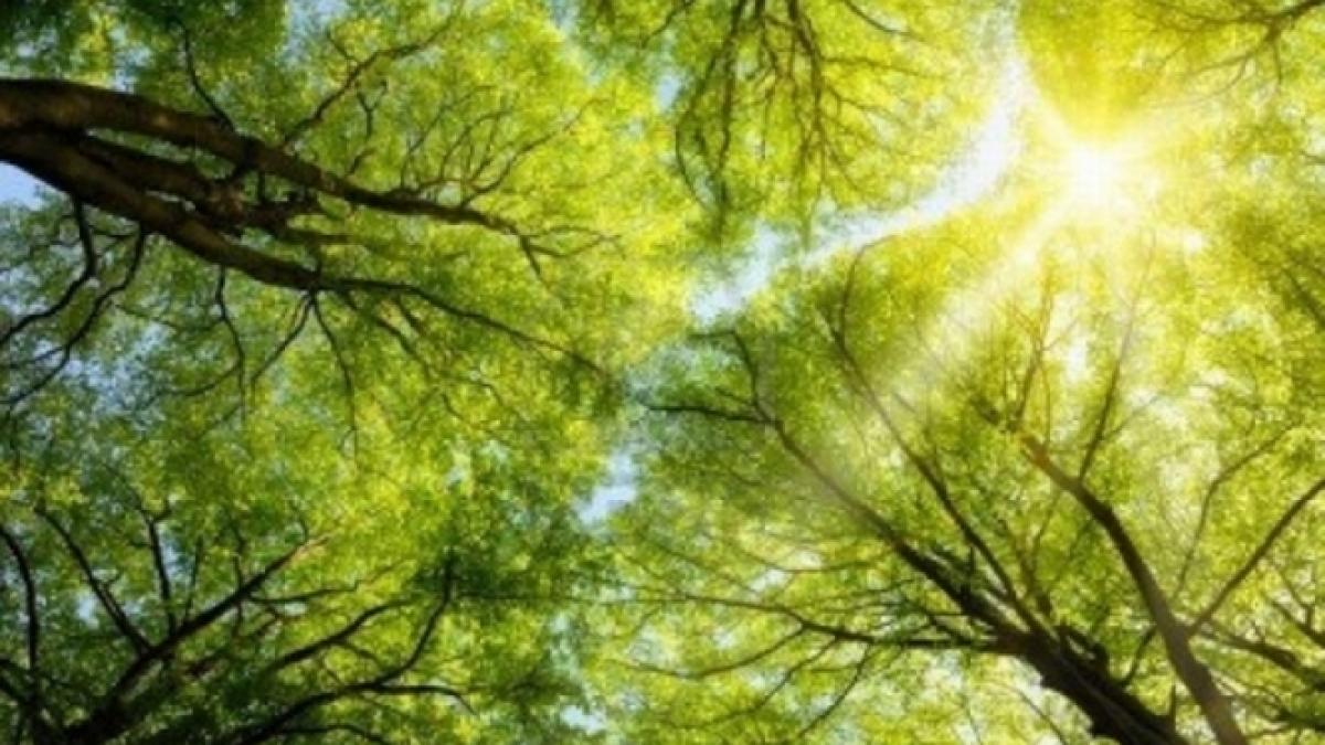 prognoza meteo pana pe 30 iunie ce temperaturi vor fi si cat va ploua in fiecare regiune a tarii