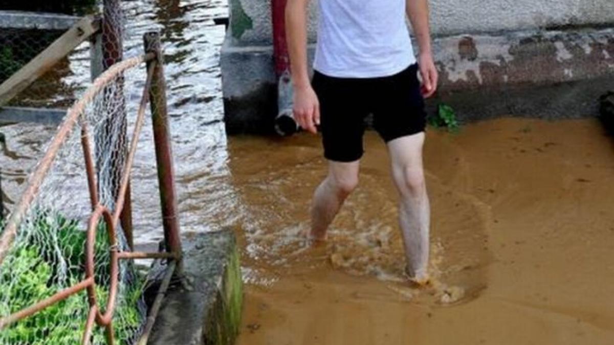 ploile au facut prapad in bistrita nasaud zece gospodarii au fost inundate