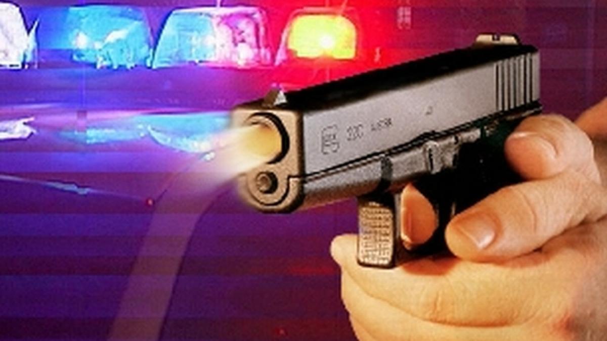 un roman a fost ucis de politie in spania