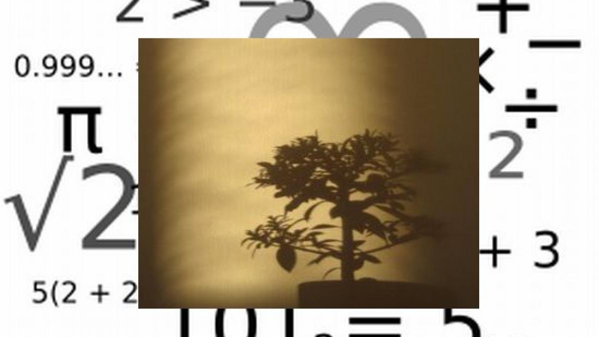 descoperire extraordinara despre plante sunt capabile de calcule aritmetice complexe