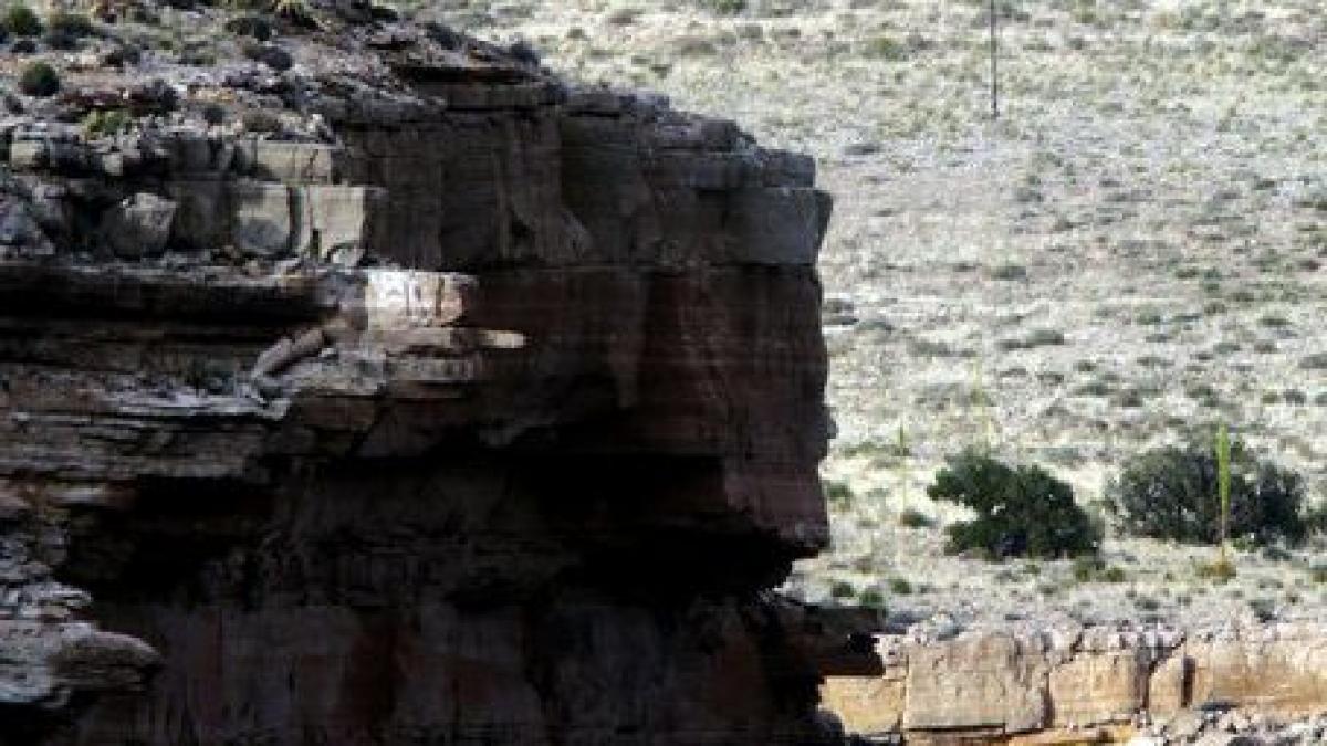 imaginea care a uluit america au privit cu sufletul la gura ce facea acest barbat putea muri in