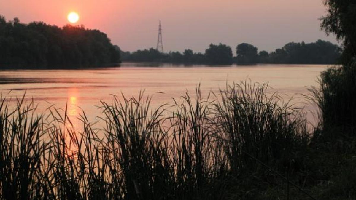 apa nova repopuleaza cu sturioni delta dunarii