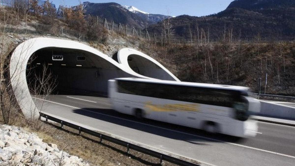 cine conducea autocarul mortii declaratiile facute de supravietuitori in fata anchetatorilor