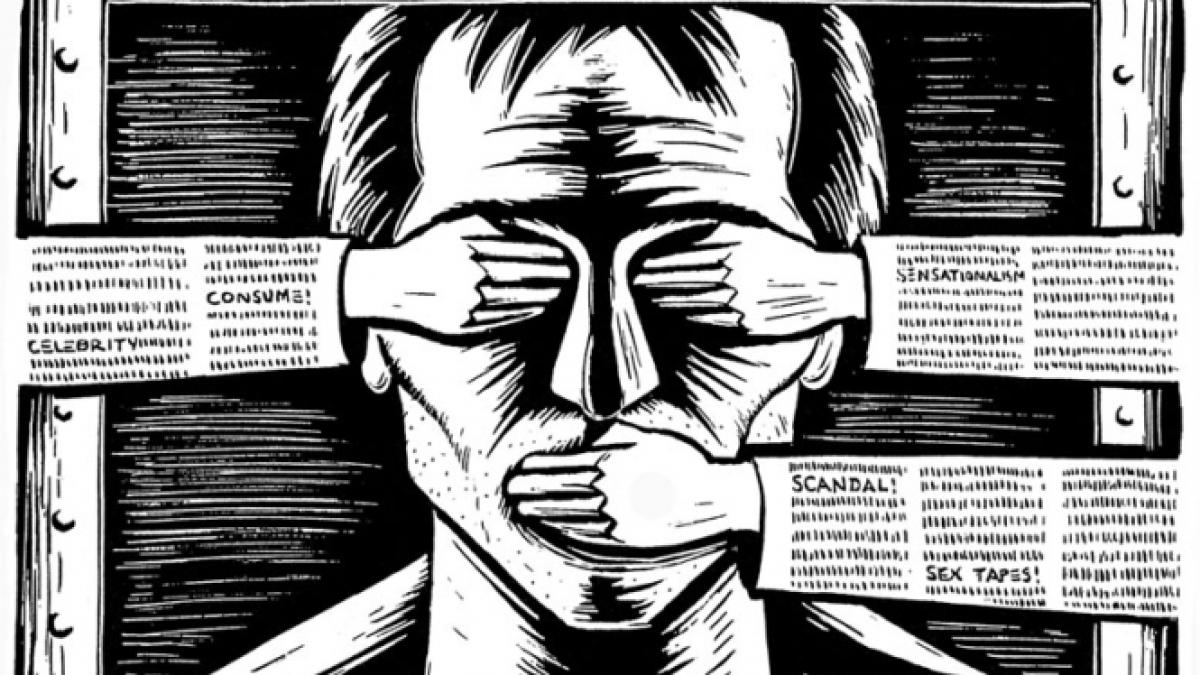 haineala vrea botnita pentru presa csm libertatea de exprimare susceptibila de a fi restransa