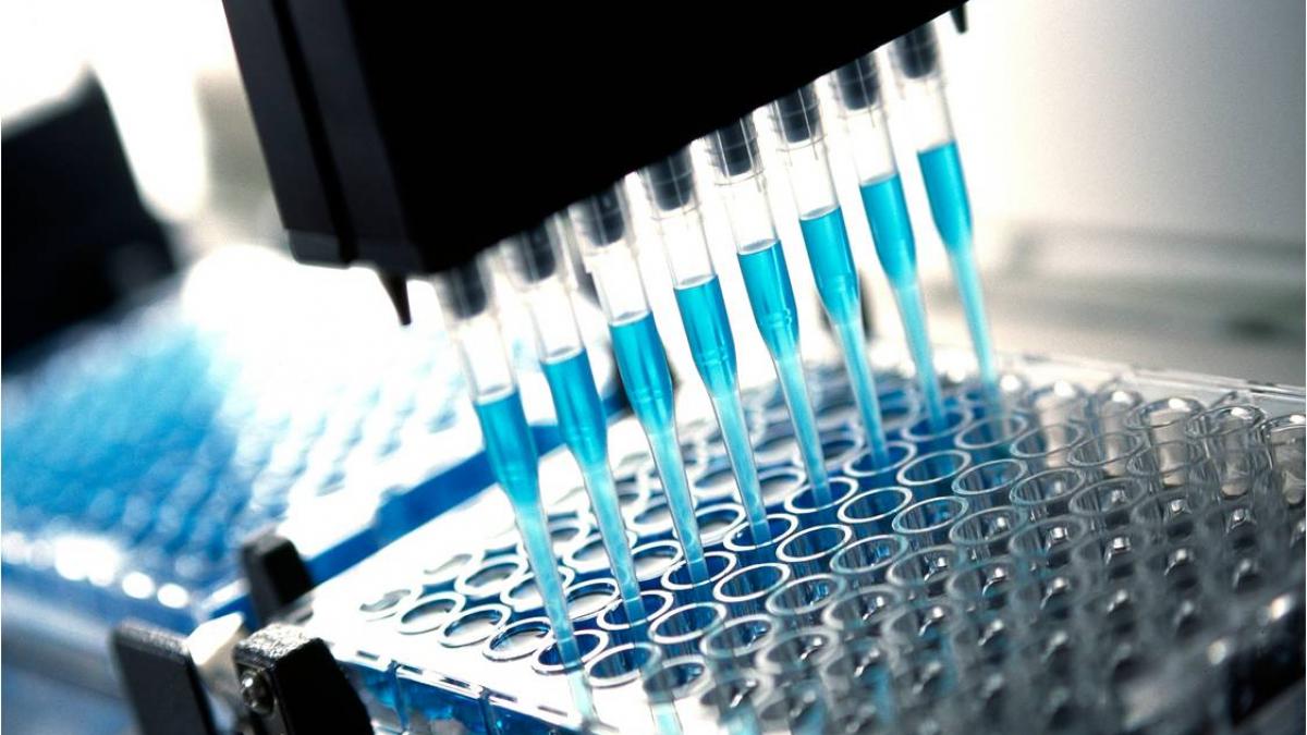 una din cele mai urate boli care omoara anual milioane de oameni poate fi invinsa vezi descoperirea