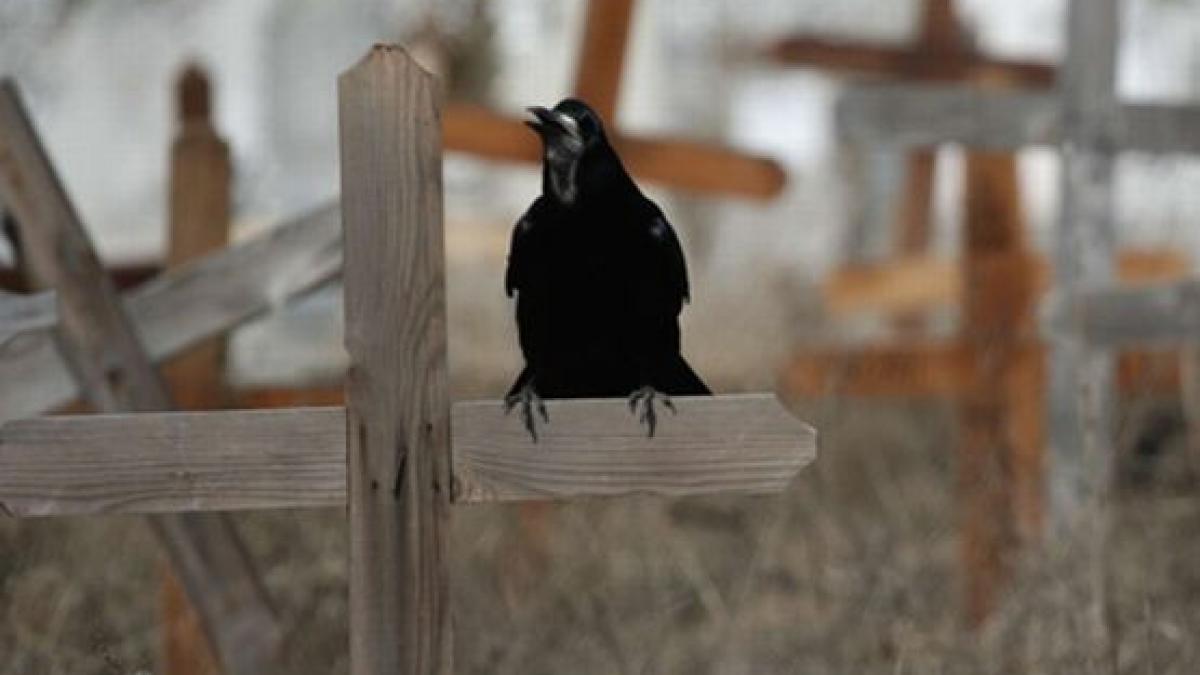 secvential cele mai mari catastrofe rutiere din istoria romaniei urme sterse rapid cu buldozerele
