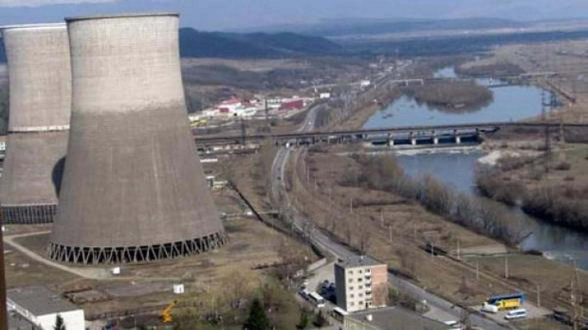 un lider pdl a incheiat prin firmele sale sau ale familiei peste 30 de contracte cu complexul