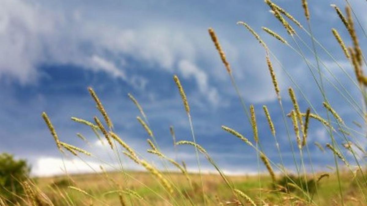 avertizarea emisa de meteorologi pentru zona dobrogea e valabila pana la ora 14 30