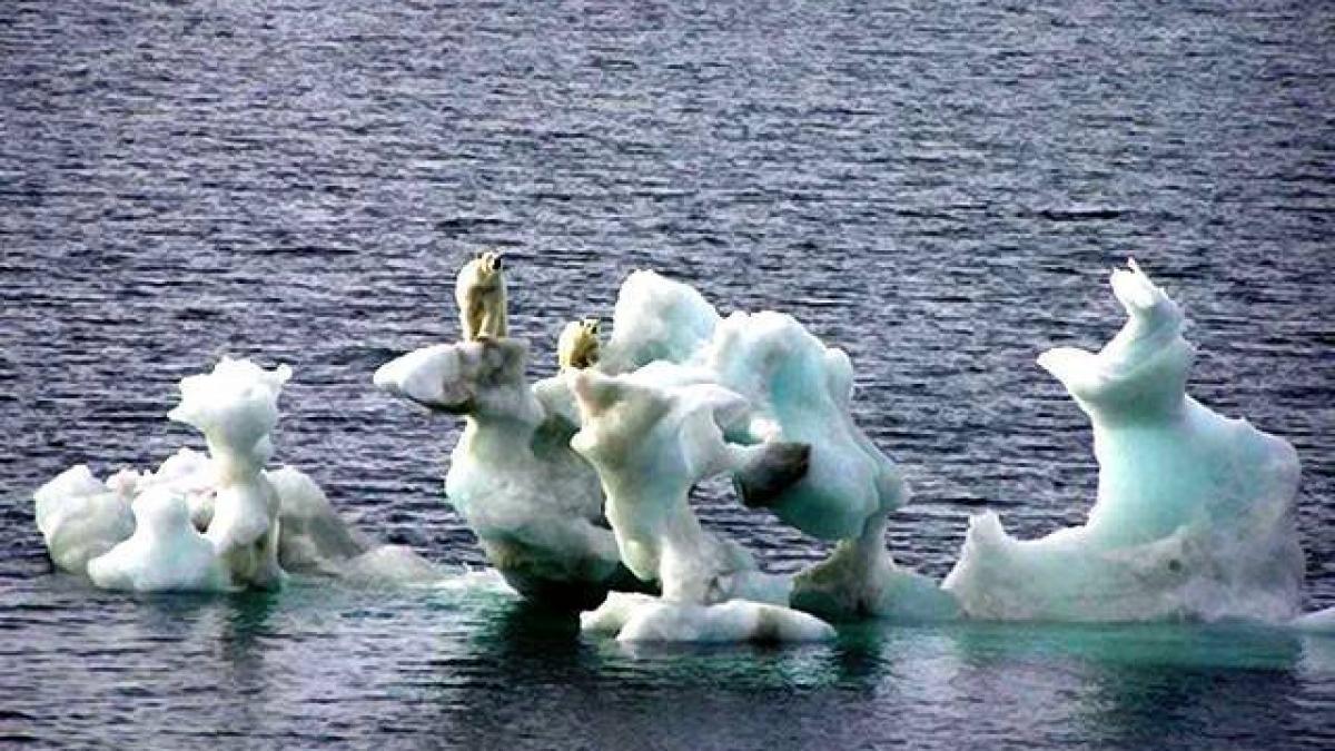 clima a luat o razna canicula globala si fenomene extreme