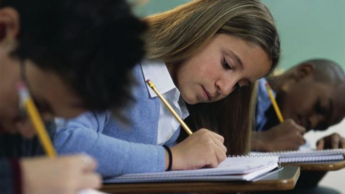 cum credeti ca a reusit sa copieze aceasta tanara metoda i a uimit pe profesori