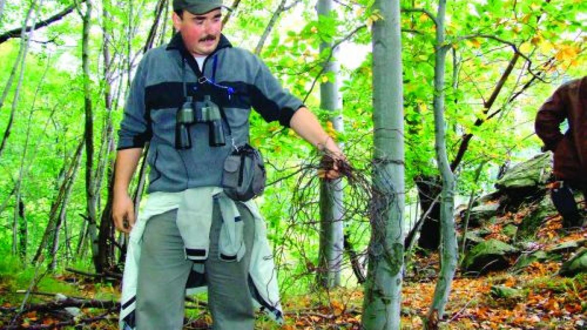 liber la braconaj capcanele pentru animale se vand fara probleme in piete si pe internet nimeni nu