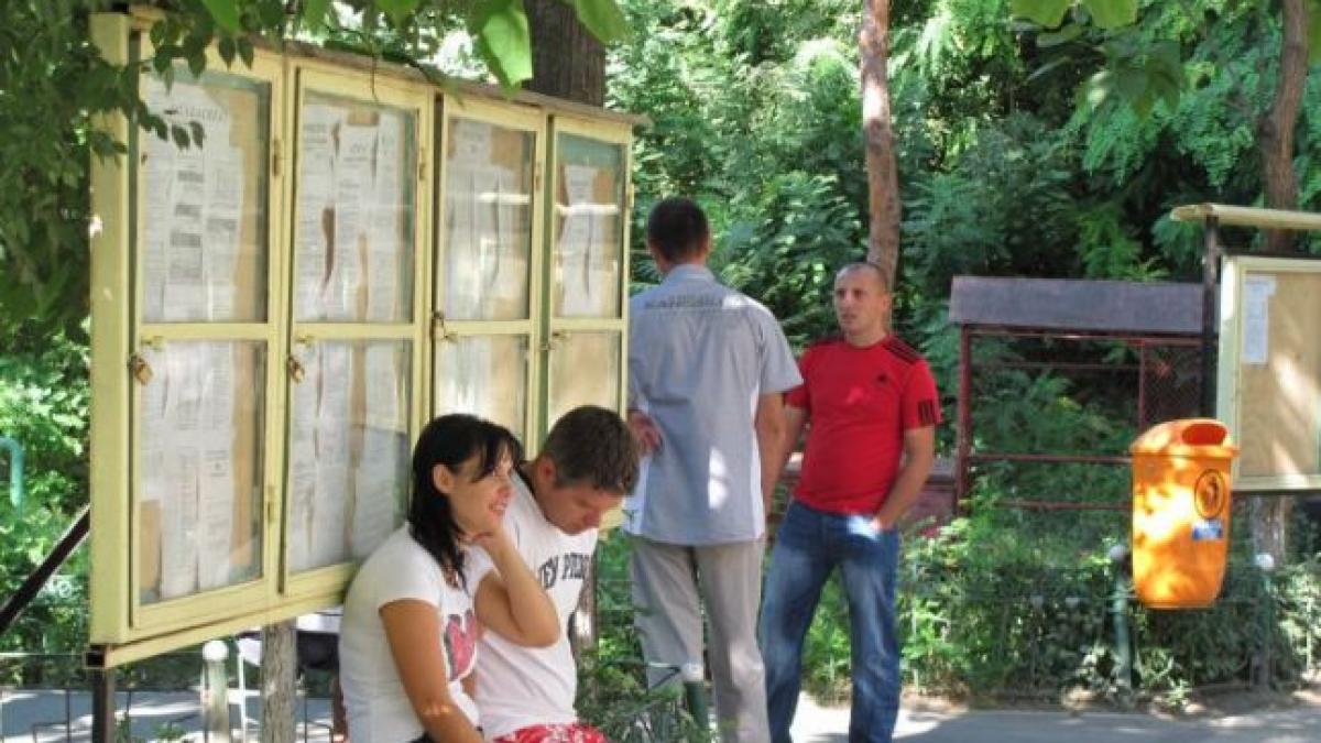 rezultate bacalaureat 2013 ce faci daca ai picat examenul de bac