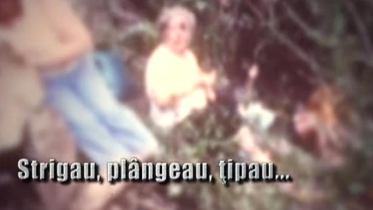 sinteza zilei primele imagini din rapa blestemata filmate de un supravietuitor al accidentului din