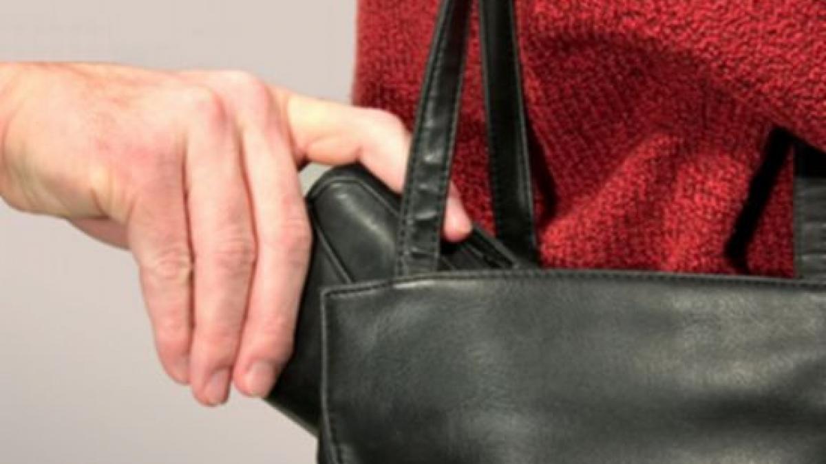 in parlament se fura din genti o angajata a camerei deputatilor a ajuns pe mana politiei