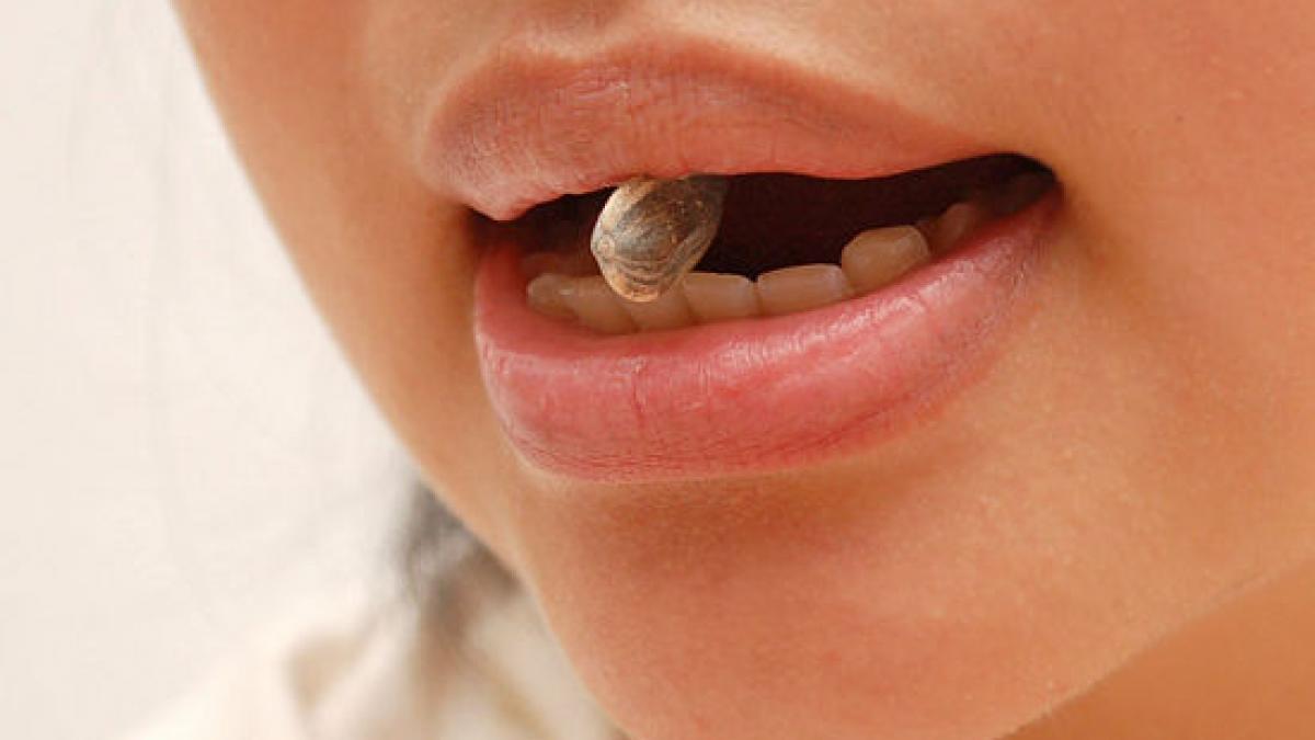 primul oras din romania in care spartul semintelor este strict interzis