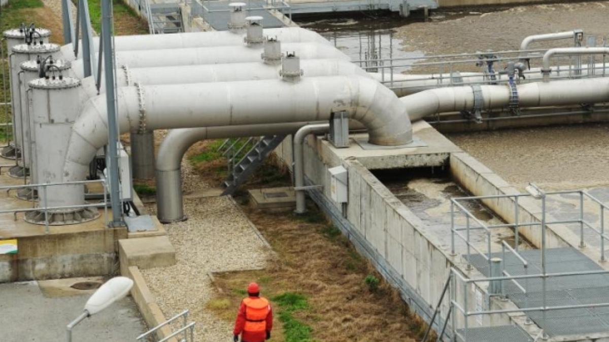 companiile franceze investesc in romania director apanova am investit peste 300 de milioane de euro